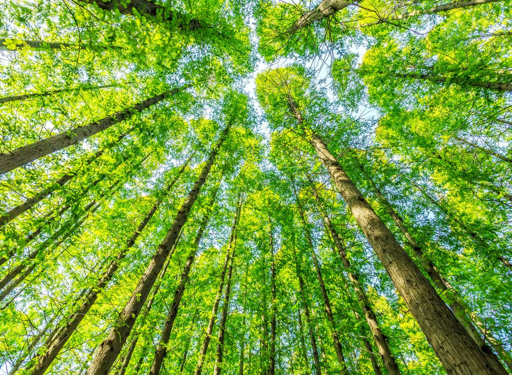 La-natura-dell'innovazione